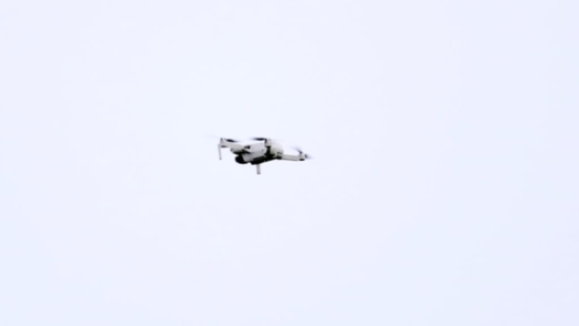 Partido entre Brentford y Wolves estuvo detenido 18 minutos por la presencia de un dron