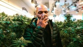 Mike Tyson remeció el mercado con el lanzamiento de gomitas de cannabis con forma de orejas mordidas