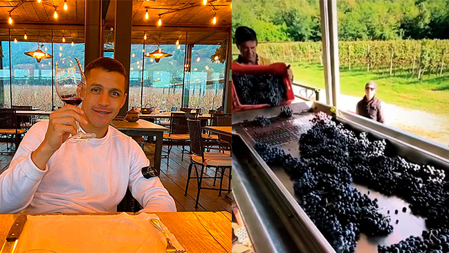 Tiempo de cosecha: Alexis mostró más imágenes de su viña Almasoul en Friuli