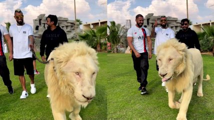 Arturo Vidal recorrió en Dubai la finca del multimillonario que cría grandes felinos