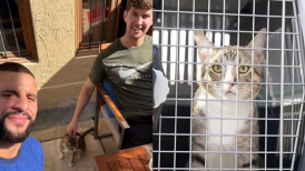 La selección inglesa regresó a casa con Dave, el gato que adoptó durante su concentración en Qatar