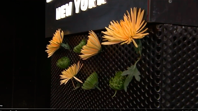 Flores amarillas y verdes recuerdan a Pelé en Times Square