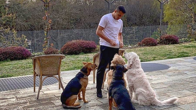 Alexis Sánchez publicó motivador mensaje sobre la felicidad junto a sus perros