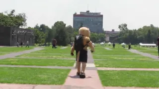 La mascota de Pumas UNAM ingresó a la universidad