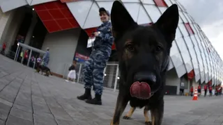 El perro Sultán auguró un mal debut para Juan Antonio Pizzi en el Mundial de Rusia 2018