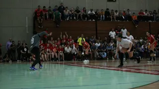 Balonmano: Chile quedó fuera de los Panamericanos de Lima pese a triunfo sobre México