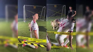 Jugador griego pasó tremendo susto al posar junto a un león en sesión oficial de su nuevo club