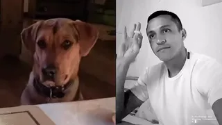 Alexis Sánchez compartió otro de sus tiernos momentos con una de sus mascotas