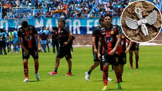 “Quieren que muera”: el hallazgo de supuesta brujería que inquieta a Rangers