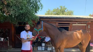 Arturo Vidal mostró los nuevos ejemplares de su criadero de caballos Haras Il Campione