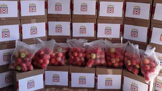 Curicó Unido distribuirá 40 cajas de alimentos a integrantes del fútbol joven y femenino
