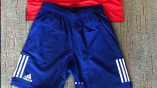 Esta será la tenida que ocupará Nicolás Massú frente a Ecuador