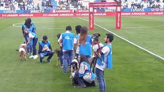 “Cruzadog”: La “perruna” iniciativa de la UC que se robó las miradas en San Carlos de Apoquindo