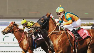 Repasa toda la actualidad de la Hípica nacional en El Partidor