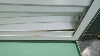 Hulk fue acusado de “vandalismo” después de un empate de Atlético Mineiro