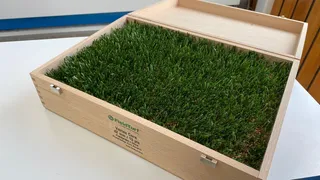 Juan Tagle: La decisión del pasto sintético tiene su foco en lo deportivo