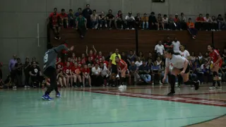 Balonmano: Chile quedó fuera de los Panamericanos de Lima pese a triunfo sobre México