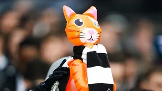 Hinchas de Newcastle se burlaron de jugador de West Ham acusado de maltratar a su gato
