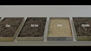 La campaña para traer tierra de Palestina al Estadio Municipal de La Cisterna