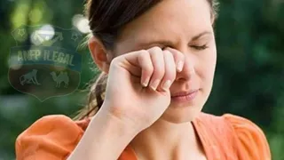 Los hilarantes memes que dejó la caída de Colo Colo ante S. Wanderers en su vuelta al fútbol