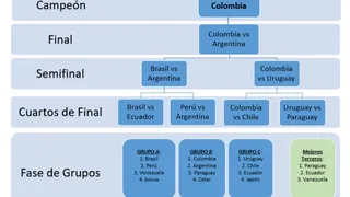 Universidad colombiana predijo desarrollo de la Copa América: Argentina otra vez segunda