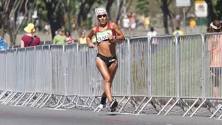 Entrenadores y jueces presentan recurso de protección contra Fedachi