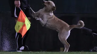 Sultán se la jugó con triunfos para ingleses y croatas en cuarto de final