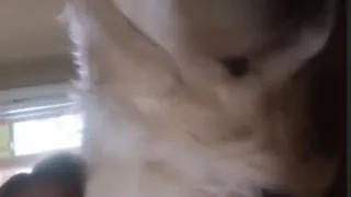 Anna Modler, ¿la nueva pareja de Alexis Sánchez?