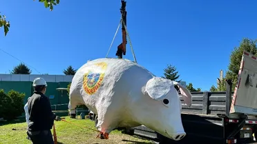 El “Chancho Lorenzo” retornó al Estadio Chinquihue de Puerto Montt