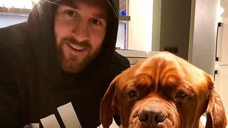 El perro Sultán entregó favorables vaticinios para Sudamérica en octavos de Rusia 2018