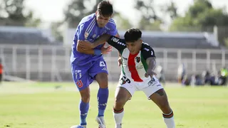 Palestino levanta la muralla: la medida que deja fuera a hinchas y prensa azul