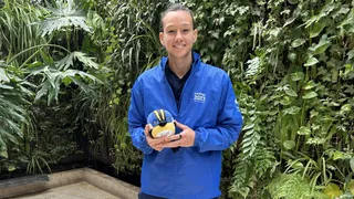 Christiane Endler está en “conversaciones avanzadas” para disputar Santiago 2023