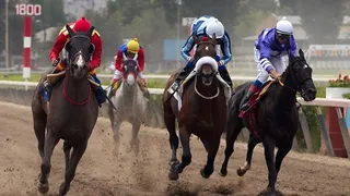 El Hipódromo Chile dio a conocer la lista de inscritos para la versión 2019 del clásico St. Leger