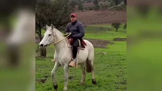 Alexis Sánchez mostró sus condiciones como jinete durante sus vacaciones