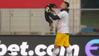 Fabián Cerda y Renato González contaron sus secretos como “encantadores de perros”