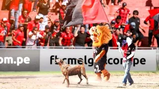 Melgar de Perú lamentó el fallecimiento de su incondicional mascota “Scooby”