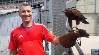 River Plate adquirió a dos gavilanes para el cuidado de la cancha de su renovado estadio