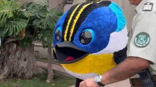 Fiu compartió con menores que están en Cerro Castillo producto de los incendios