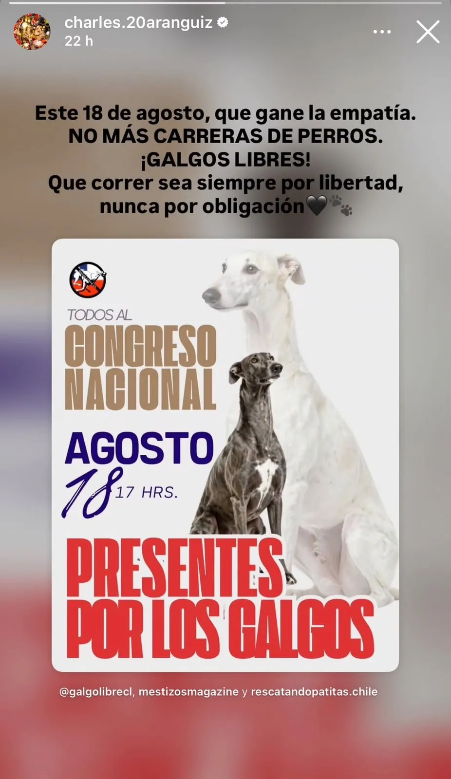 Posteo de Charles Aránguiz contra las carreras de galgos / ©Instagram.