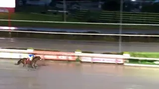 La carrera que coronó a Ruby Princess en el Clásico Radio Cooperativa