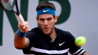 Del Potro y Cilic se verán las caras en cuartos de final de Roland Garros