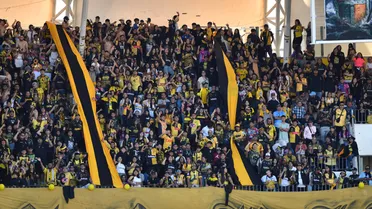 Si no puede nosotros le ayudamos: Coquimbo lanza llamativa campaña para el Registro Nacional de Hinchas