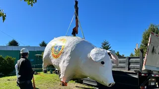El “Chancho Lorenzo” retornó al Estadio Chinquihue de Puerto Montt
