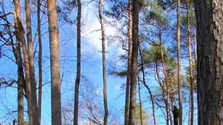 Aislado en su casa: Así pasa sus días Alexis Sánchez en Italia ante crisis por coronavirus