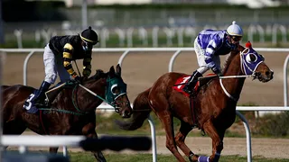 Jinetes con mascarilla: Así fue el retorno de la hípica al Valparaíso Sporting Club