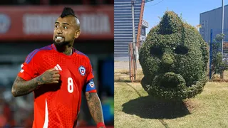Insólito: queman árbol podado en homenaje a Arturo Vidal