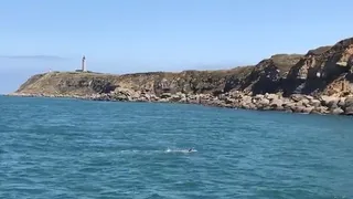 Así fue la travesía de Bárbara Hernández por el Canal de la Mancha