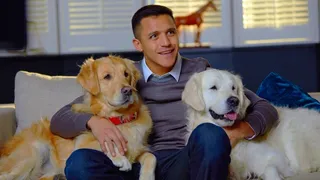 Las tiernas imágenes de Alexis Sánchez junto a Humber y Atom