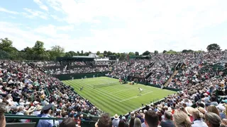 Activistas ecologistas interrumpieron un partido en Wimbledon