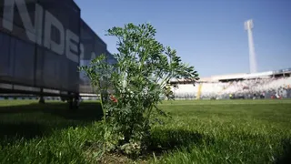 Con Pablo Guede y Esteban Paredes a la cabeza: El recuerdo de la estrella 32 de Colo Colo